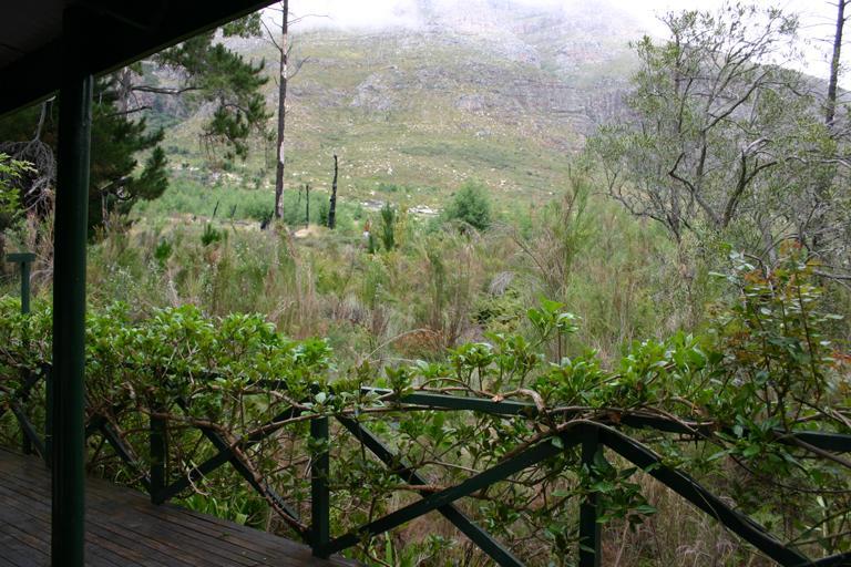 Kierie Kwaak Self Catering Villa Stellenbosch Eksteriør bilde